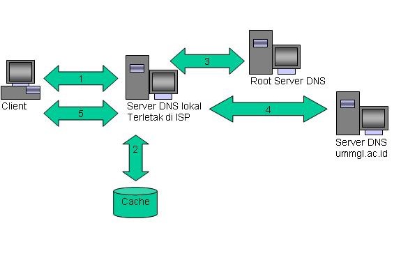 Domain Name System